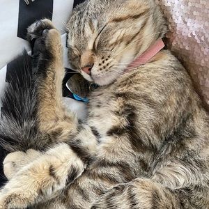 Meet your Posher, Ruben